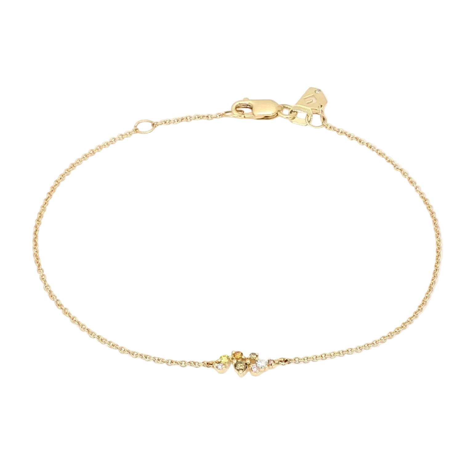 9ct Yellow Gold Multi-Coloured Natural Argyle Diamond Fine Bracelet