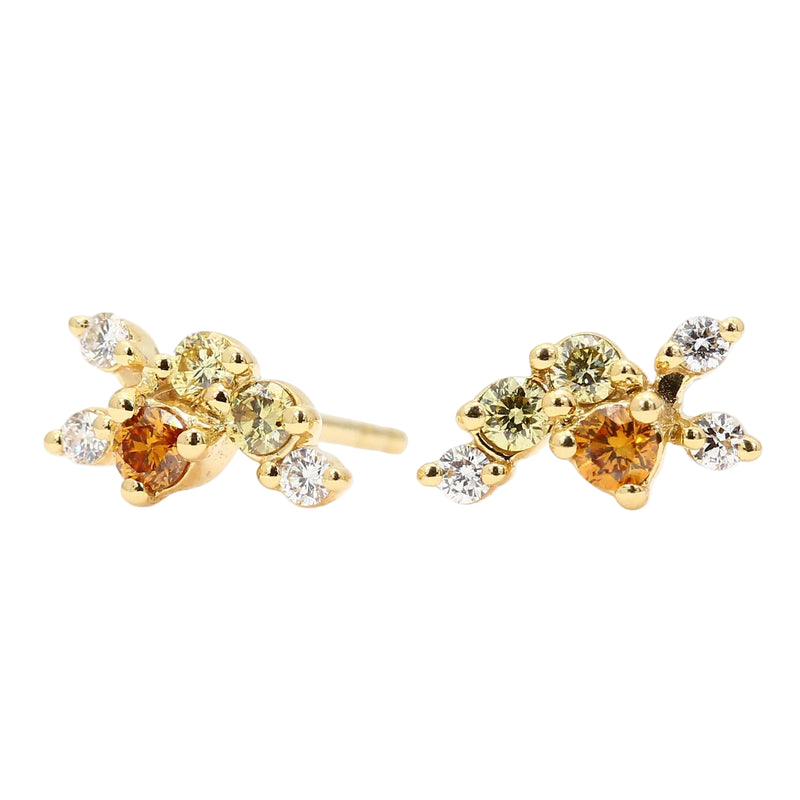 18ct Yellow Gold Multi-Coloured Natural Argyle Diamond Stud Earrings