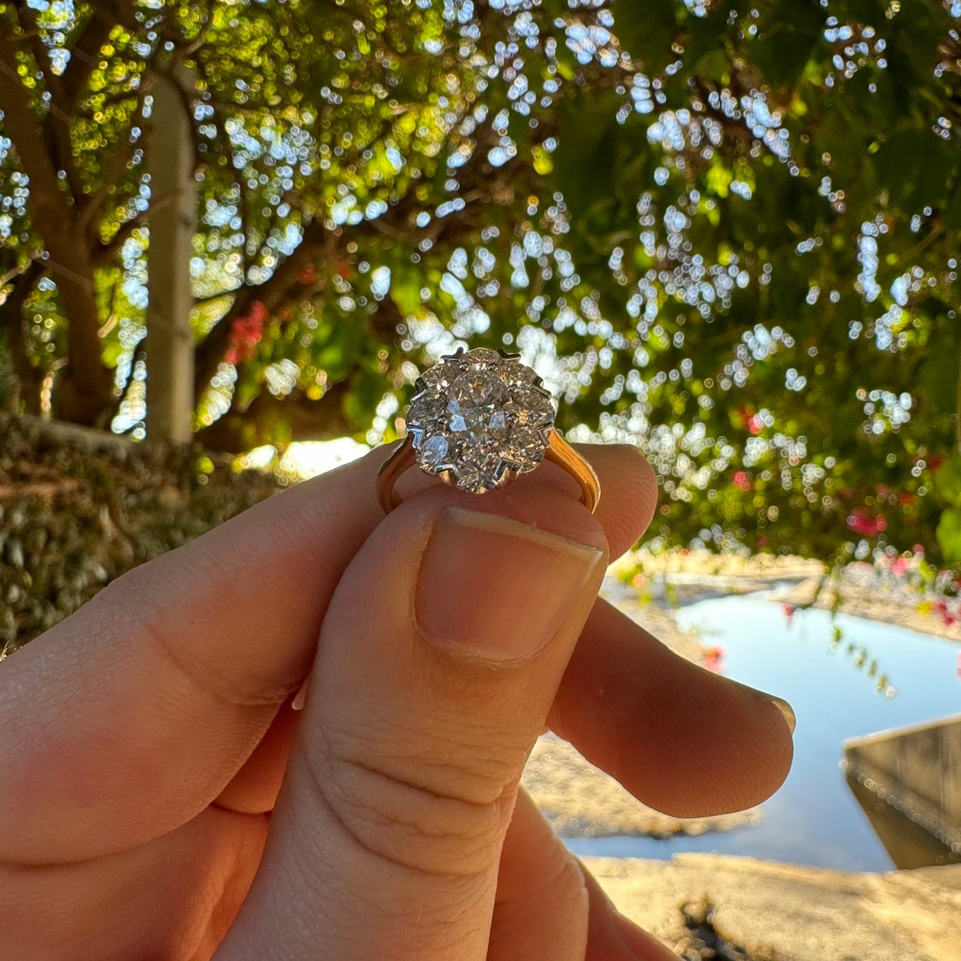 18ct Rose and White Gold Oval Diamond Cluster Ring