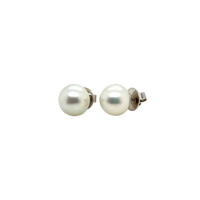 Autore 18ct White Gold White South Sea Pearl Stud Earrings